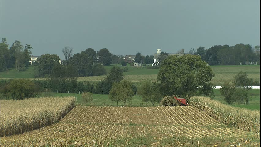 Distant shot of Amish farmers harvesting, Lancaster, PA