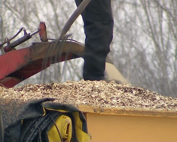 tractor with crane load branches to pile and granulated chips fall into trailer. man supervise process. forest management and biofuel production machines. winter snow