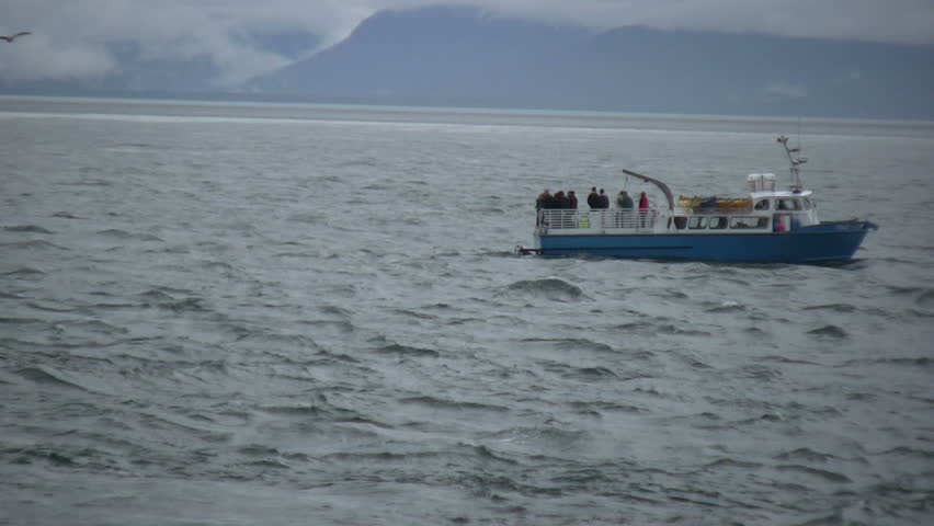 Small whale watching boat in Tracy Arm Fjord Alaska