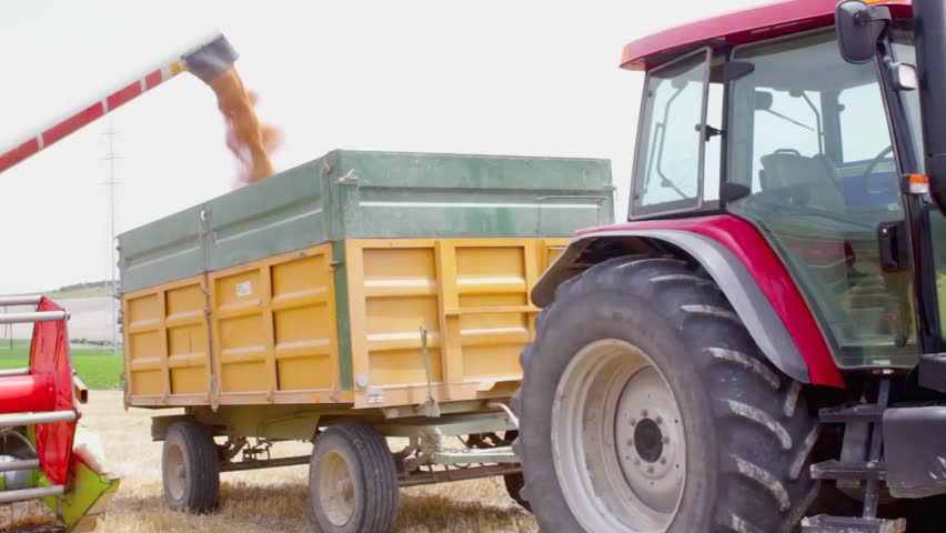 combine harvester loading wheat in a tractor trailer