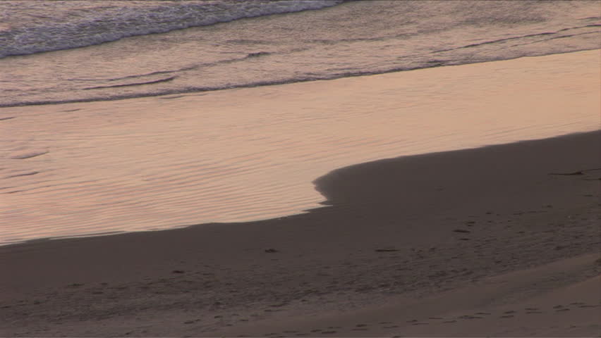 View of Oregon Beach in Oregon Pacific Northwest United States