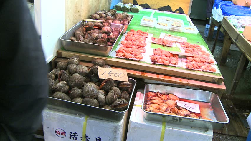 Tsukiji Wholesale market shell fish on display