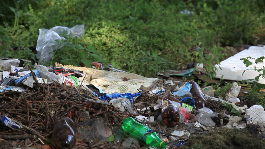 rubbish dump in the woods