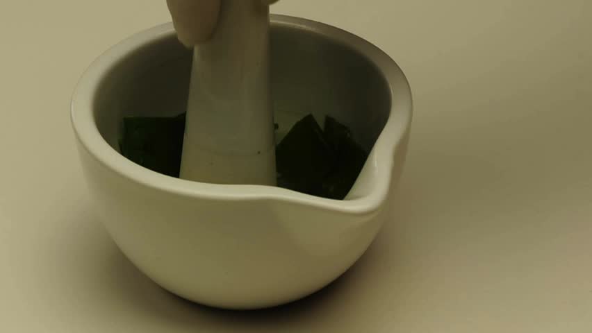 Aloe vera in a mortar