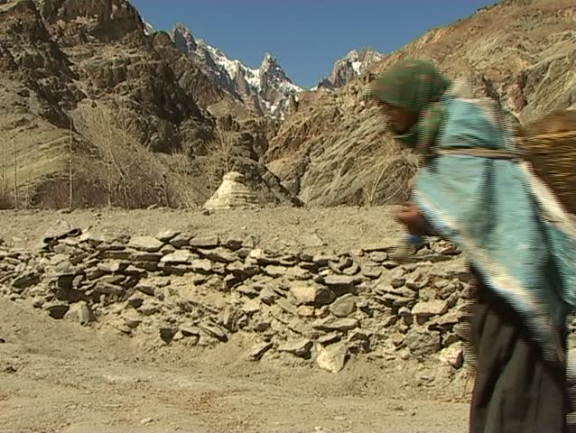 Young woman carrying heavy packages in the Himalayas and knitting at the same time (fertilizing soil with dried yak dung)