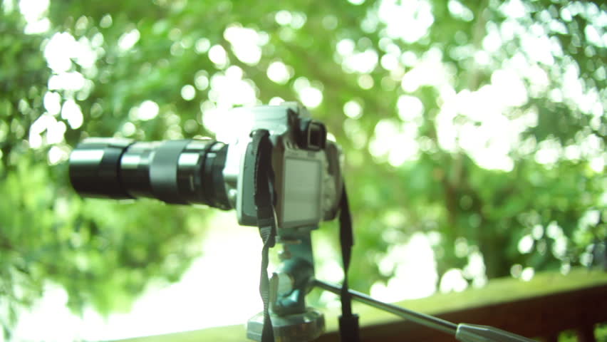 A photographer or birder or investigator