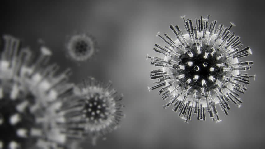 Animation of the avian flu virus, H5N1. Artist impression. Perfect loop. Can also be used as a generic virus.