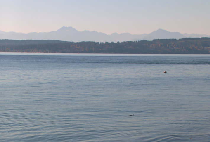 SEATTLE - Circa 2002: West Point Lighthouse on Union Lake in Seattle in 2002.