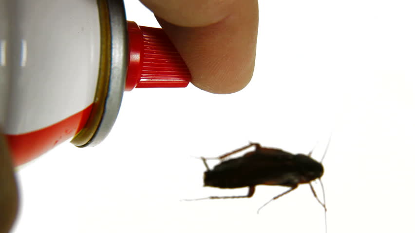 Destruction of Insect Pest