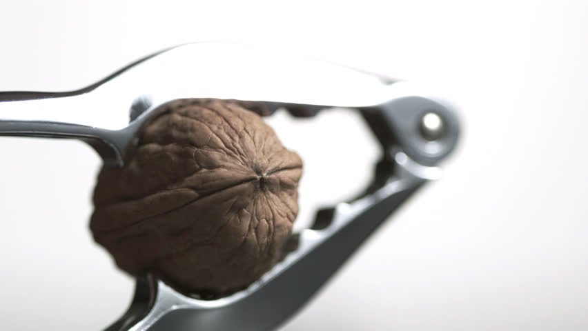 walnut in nut cracker against white background
