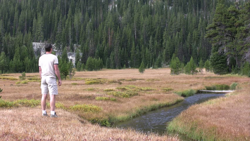 Man standing in a meadow by a creek worshiping. HD 1080i