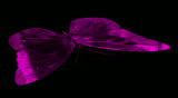 Pink ruby butterfly