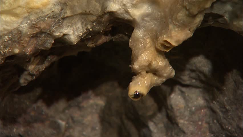 Dripping water from cave stalactites 