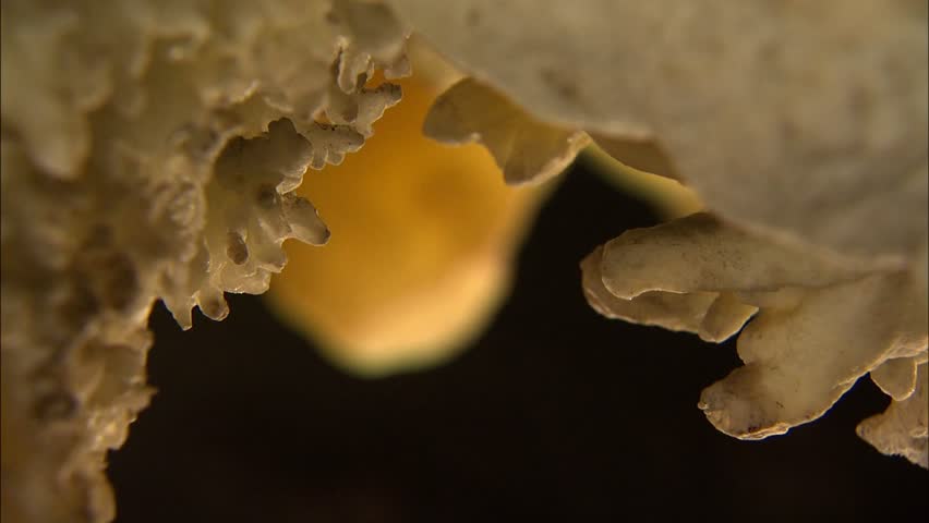 Rack focus from cave formation to stalactite 