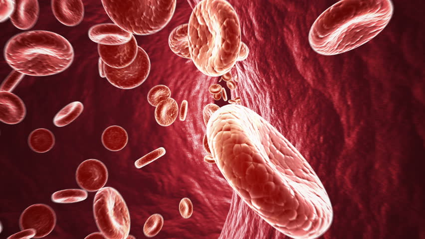 Inside a human blood vessel - 1080p HD scientific animation. 