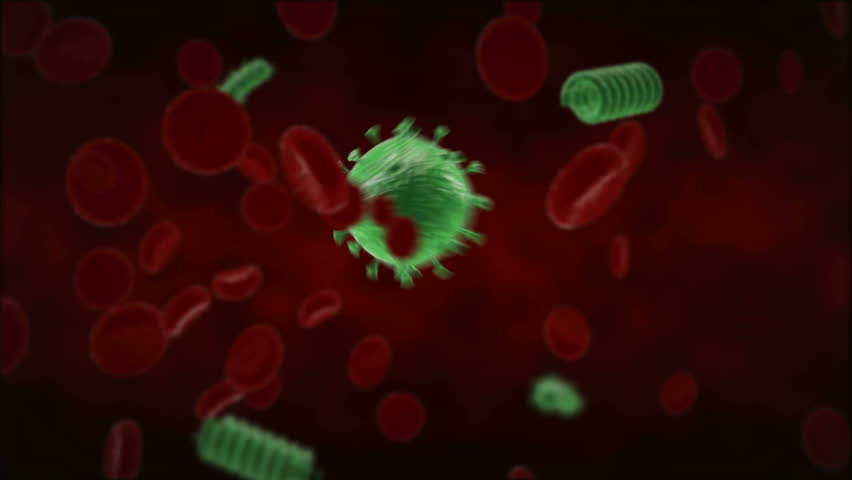 Leukocyte neutralize the virus in human blood