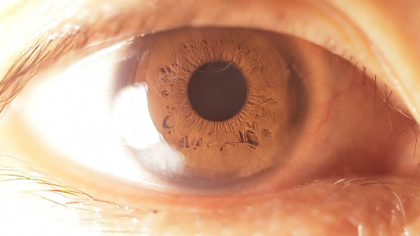 Eye close up Pupil opening and closing