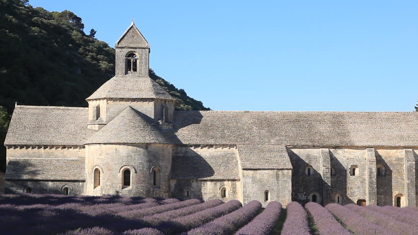 Lavender at Senanque abbey in Provence.