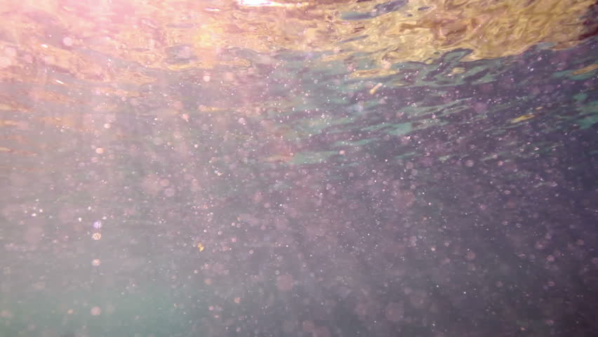 underwater shots whilst snorkeling in a marine park, mexico caribbean coast