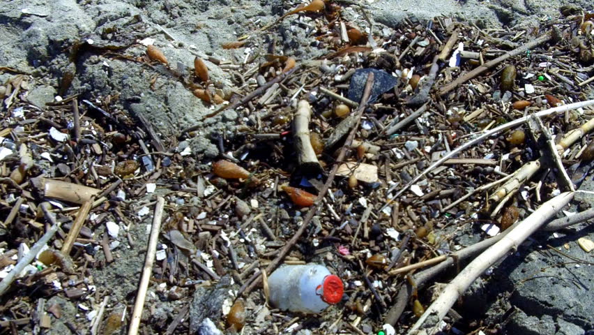 An medium shot of bits of plastic and styrofoam trash mixed with organic flotsam on the beach in Southern California.