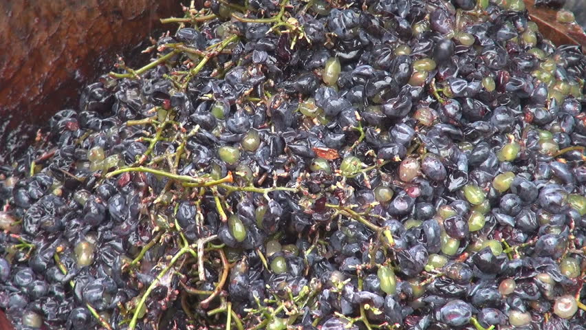 Making wine in old style