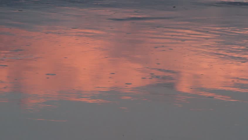 Reflections