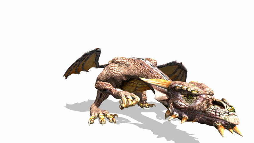 dragon