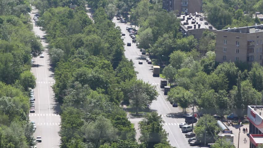 city streets which are buried in verdure on which there go cars and go people