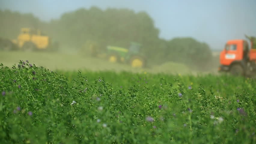 Tractors harvest hay for livestock