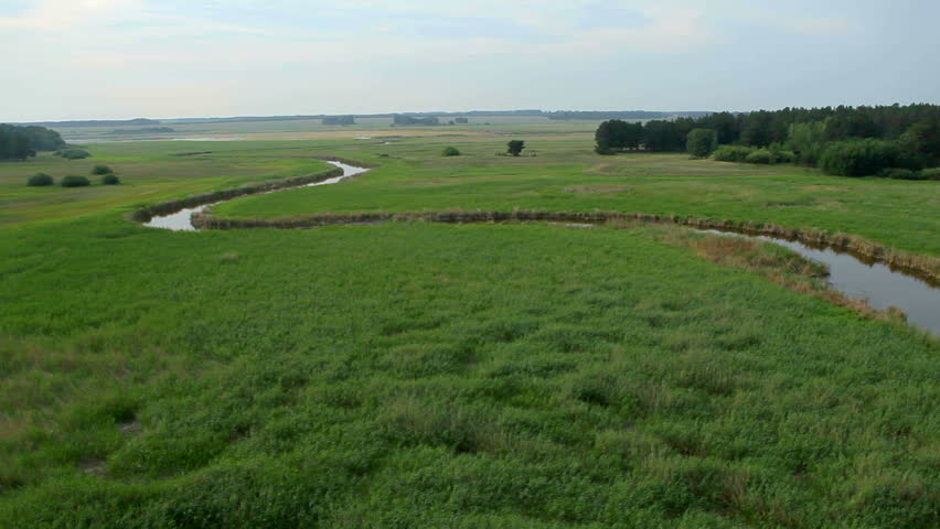 flight over sunny field