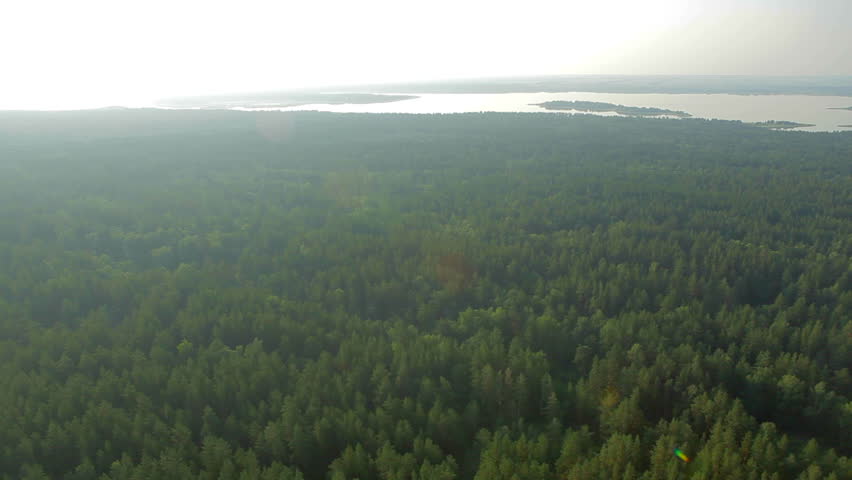 flight over beautiful forest