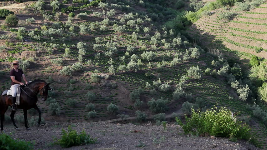 Man riding a horse in Andalusia, Spain