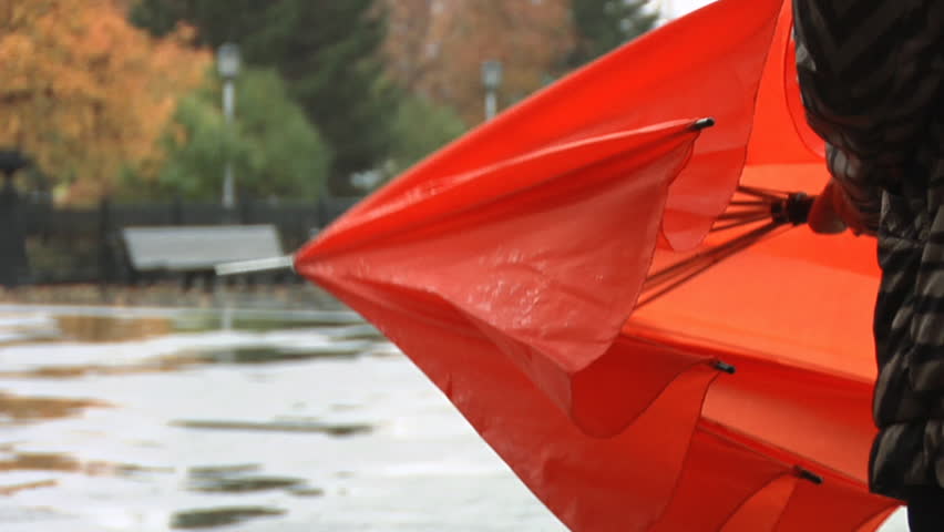 Girl with an umbrella 
