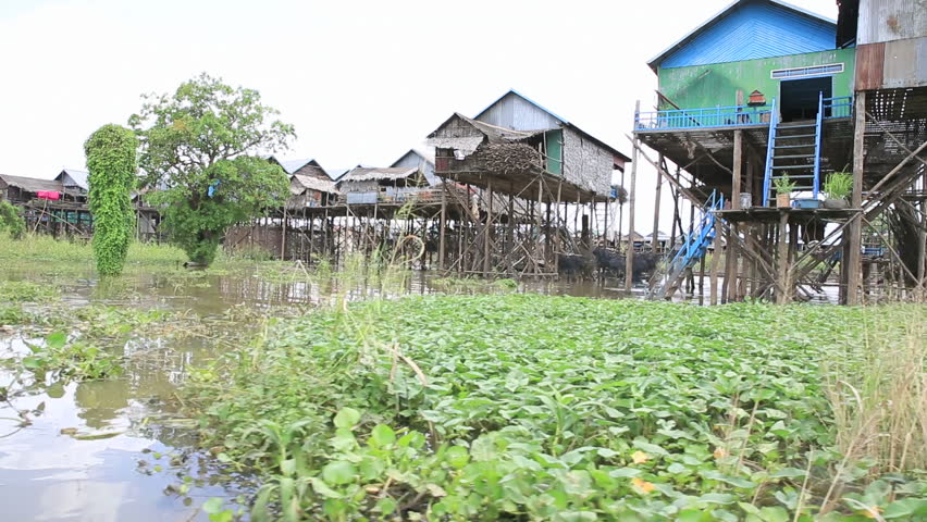 Homes on stilts on the floating village of Kampong Phluk, Tonle Sap lake,Siem Reap province, Cambodia