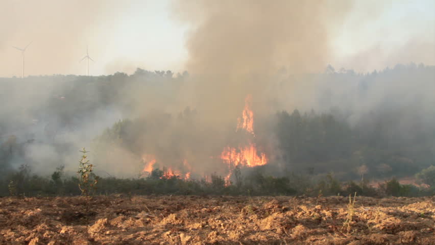 Big forest fire in the countryside from Portugal