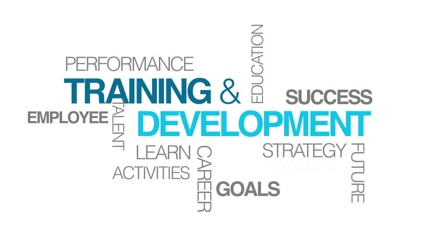 Training & Development