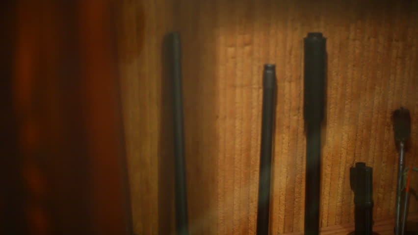 gun collection for  a hunter or survivalist