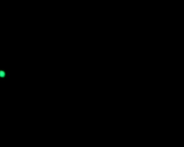 A pulsating heartbeat on a electrocardiogram monitor. Medical correct footage - loops.