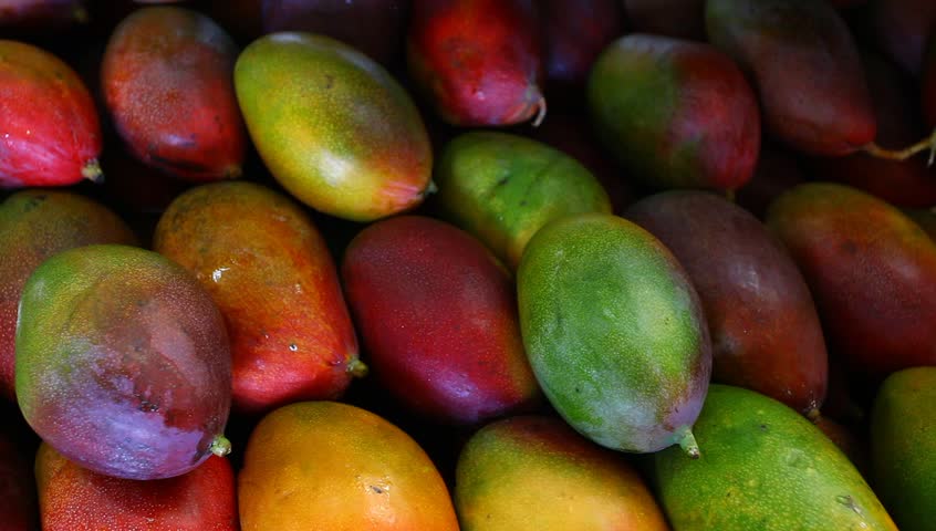 mango market