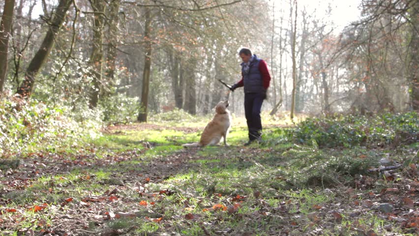 Middle aged man with his dog in the woods playing fetch
