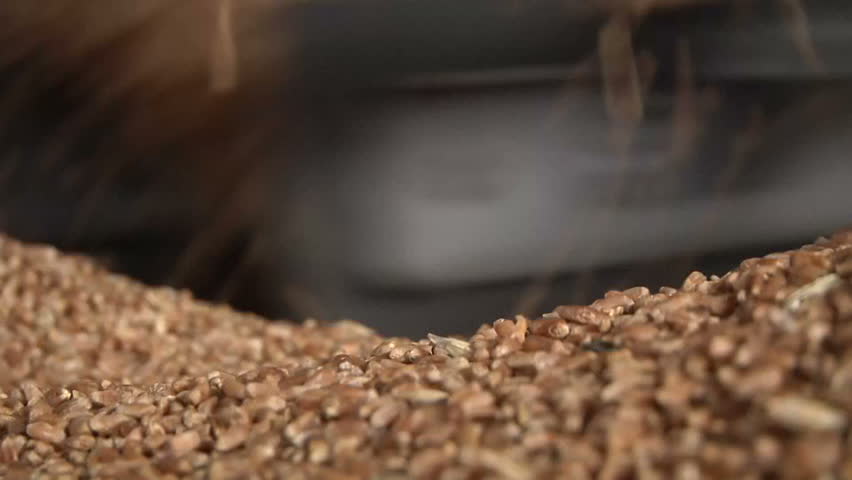 processing grain in granary