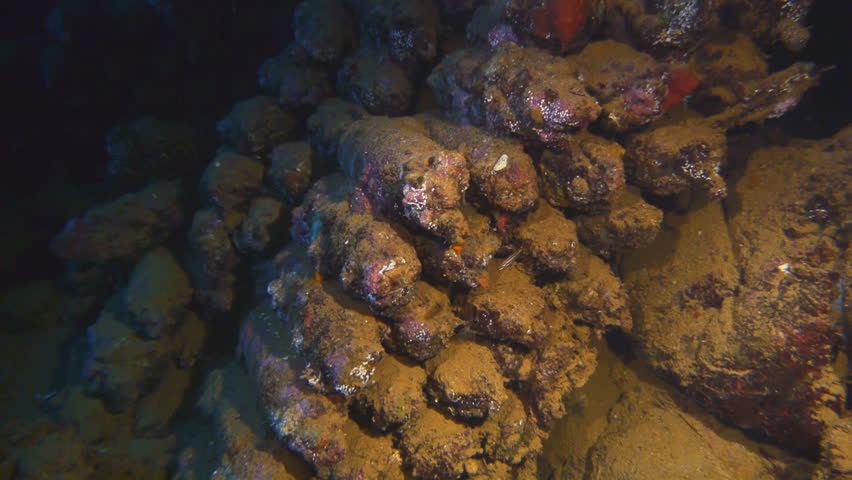 ammunition in shipwreck, umbria, sudan, red sea