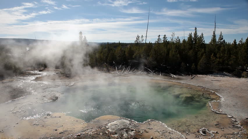 YELLOWSTONE NATIONAL PARK, WYOMING:  One of Americas most visited destinations. Water geyser in the Norris Geyser Basin.  Emerald Springs surrounded by senter. Hot steam geothermal feature. 