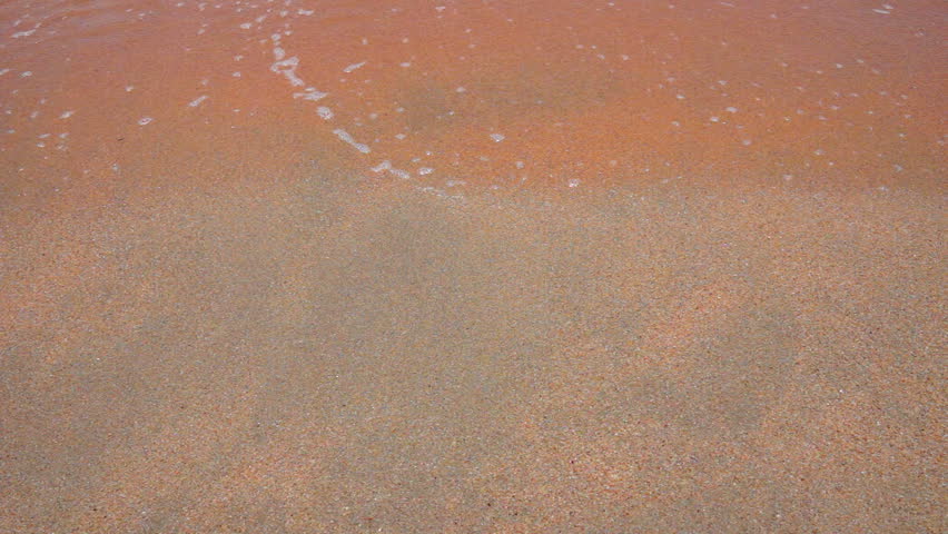 Wave Foam on a Sandy Beach
Foamy waves roll over the sandy texture of the beach.