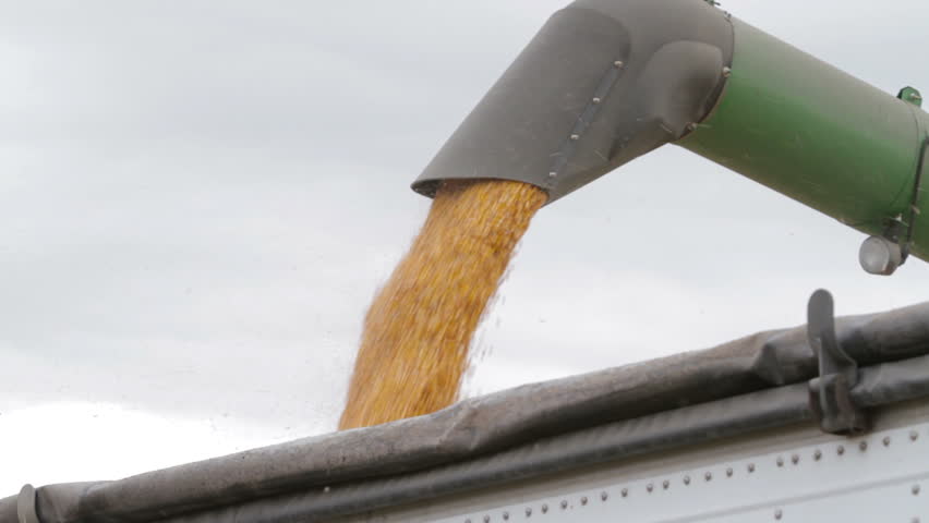 Combine Unloads Corn - Profile Medium