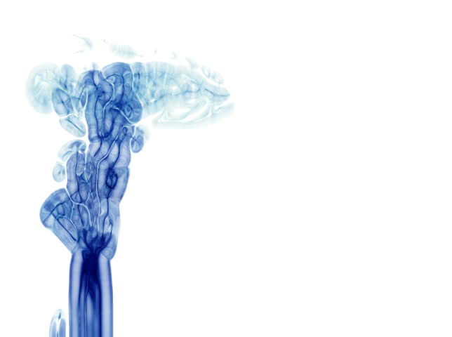 NTSC - Motion 432: Abstract fluid forms pulse, ripple and flow (Loop).