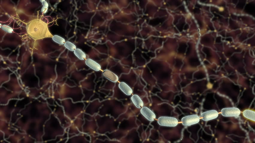 3D animation shows damage to oligodendrocyte or Schwann cell created myelin sheath along axon of neuron leading to disrupted propagation of action potential and slowed signal conduction through CNS 
