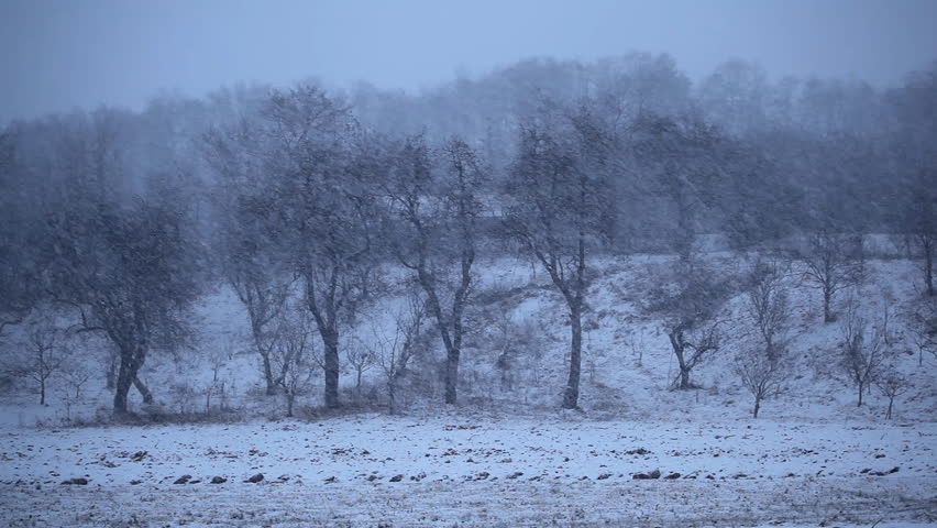 Village in Winter Scene, Landscape in Winter Season, Hills in Snow, Forest