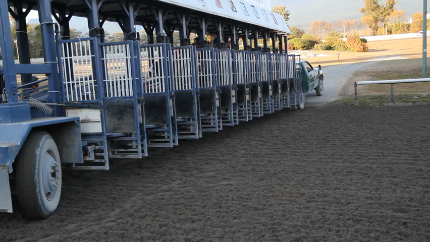 VANCOUVER, BC â OCTOBER 8th: Start of horse race at Hastings Racecourse on October 8th, 2012 in Vancouver, BC, Canada.  Hastings Racecourse is four miles from downtown Vancouver, BC, Canada.
