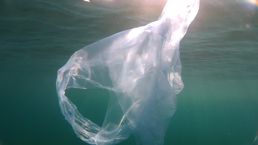 Nylon bags in sea

Description: Nylon bags floating in the sea.
